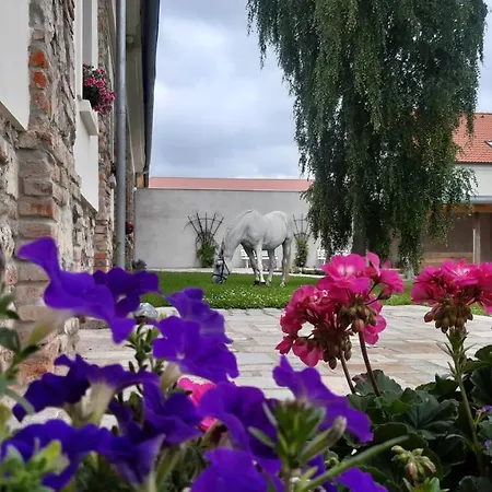 Hotel apartamentowy Korn-hof